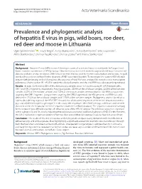 Prevalence and Phylogenetic Analysis of Hepatitis E Virus in Pigs, Wild