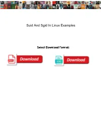Suid and Sgid in Linux Examples