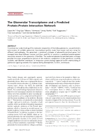 The Glomerular Transcriptome and a Predicted Protein–Protein Interaction Network