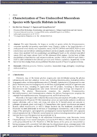Characterization of Two Undescribed Mucoralean Species with Specific