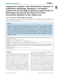 Comparative Analysis of the Mitochondrial Genomes Of
