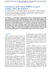 Homomeric Q/R Edited AMPA Receptors Conduct When Desensitized Ian D