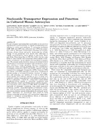 Nucleoside Transporter Expression and Function in Cultured Mouse Astrocytes