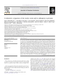 A Volumetric Comparison of the Insular Cortex and Its Subregions in Primates