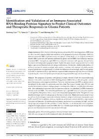 Identification and Validation of an Immune-Associated RNA-Binding Proteins Signature to Predict Clinical Outcomes and Therapeuti