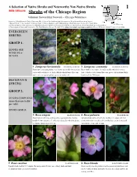 Shrubs of the Chicago Region
