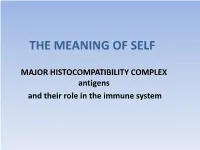 The Meaning of Self
