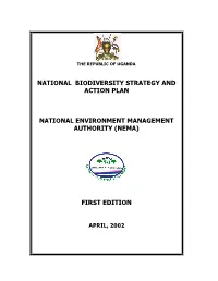 CBD Strategy and Action Plan