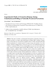 Experimental Study of Formation Damage During Underbalanced-Drilling in Naturally Fractured Formations
