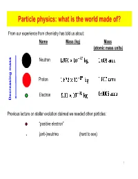 Particle Physics: What Is the World Made Of?