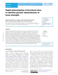 Rapid Phenotyping of Knockout Mice to Identify Genetic Determinants of Bone Strength