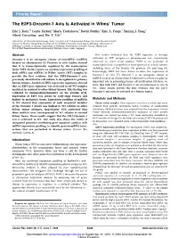 The E2F3-Oncomir-1 Axis Is Activated in Wilms' Tumor
