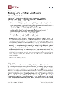 Bacterial Virus Ontology; Coordinating Across Databases