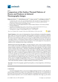 Comparison of the Surface Thermal Patterns of Horses and Donkeys in Infrared Thermography Images