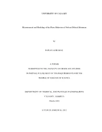 2012 Msc Thesis Pawan Agrawal.Pdf