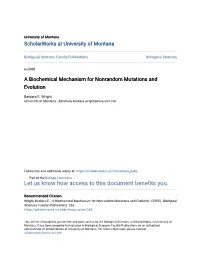 A Biochemical Mechanism for Nonrandom Mutations and Evolution