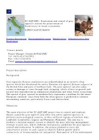 EC-SQUARE - Eradication and Control of Grey Squirrel: Actions for Preservation of Biodiversity in Forest Ecosystems LIFE09 NAT/IT/000095