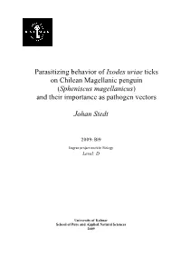 Parasitizing Behavior of Ixodes Uriae Ticks on Chilean Magellanic Penguin (Spheniscus Magellanicus) and Their Importance As Pathogen Vectors
