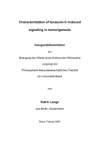 Characterization of Tenascin-C-Induced Signaling In
