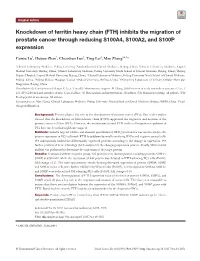 Inhibits the Migration of Prostate Cancer Through Reducing S100A4, S100A2, and S100P Expression