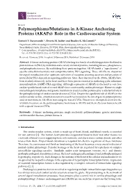 Polymorphisms/Mutations in A-Kinase Anchoring Proteins (Akaps): Role in the Cardiovascular System