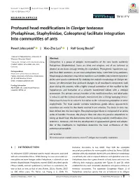 Profound Head Modifications in Claviger Testaceus (Pselaphinae, Staphylinidae, Coleoptera) Facilitate Integration Into Communities of Ants