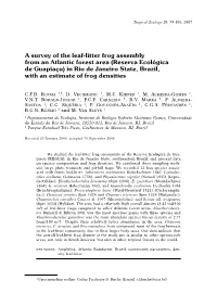 A Survey of the Leaf-Litter Frog Assembly from an Atlantic Forest Area