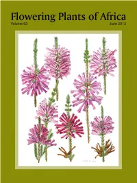 Abrus Precatorius Subsp