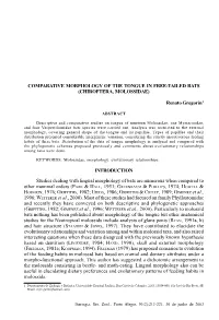 Comparative Morphology of the Tongue in Free-Tailed Bats (Chiroptera, Molossidae) 213