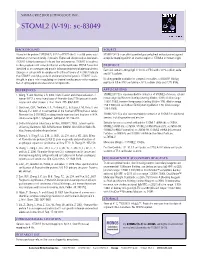 Datasheet Blank Template