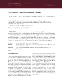 First Records of Cardiocondyla Ants from Myanmar