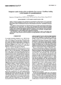 Manganese Uptake During Calcite Precipitation from Seawater: Conditions Leading to the Formation of a Pseudokutnahorite