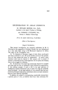 Regeneration in Argas Persicus Observations Upon Regeneration in the Arachnida And, So Far As We Are Aware, None in the Ixodoidea
