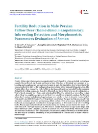Fertility Reduction in Male Persian Fallow Deer (Dama Dama Mesopotamica): Inbreeding Detection and Morphometric Parameters Evaluation of Semen