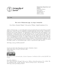The Role of Malassezia Spp. in Atopic Dermatitis