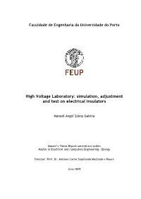 High Voltage Laboratory: Simulation, Adjustment and Test on Electrical Insulators