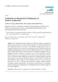Condensins Are Required for Maintenance of Nuclear Architecture