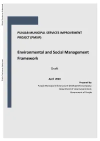 Environmental and Social Management Framework (ESMF)