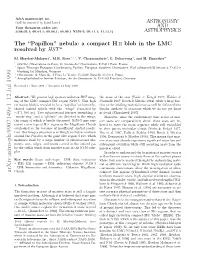 Thepapillon'nebula: a Compact HII Blob in the LMC Resolved By