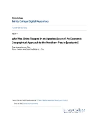 Why Was China Trapped in an Agrarian Society? an Economic Geographical Approach to the Needham Puzzle [Post-Print]