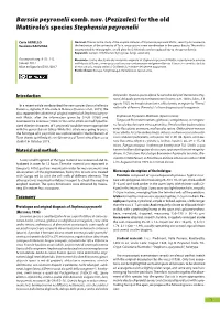 Ascomyceteorg 09-01 Ascomyceteorg
