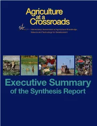 Executive Summary