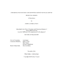 Exploring the Function and Adaptive Context of Paleo-Arctic