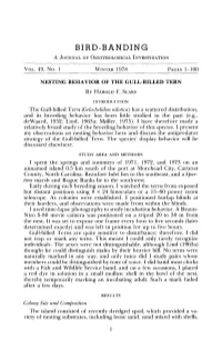 Nesting Behavior of the Gull-Billed Tern