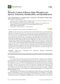Phenolic Content of Brown Algae (Pheophyceae) Species: Extraction, Identiﬁcation, and Quantiﬁcation