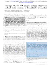 The Type IV Pilin Pila Couples Surface Attachment and Cell Cycle Initiation in Caulobacter Crescentus