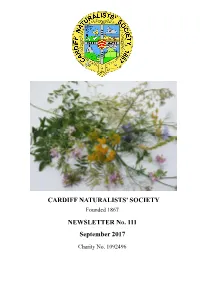 CNS Newsletter Sept 2017 Pub (Read-Only)