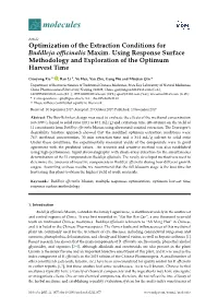 Optimization of the Extraction Conditions for Buddleja Officinalis