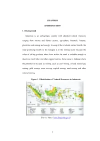 CHAPTER I INTRODUCTION 1.1 Background Indonesia Is An