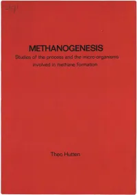 METHANOGENESIS Studies of the Process and the Micro-Organisms Involved in Methane Formation